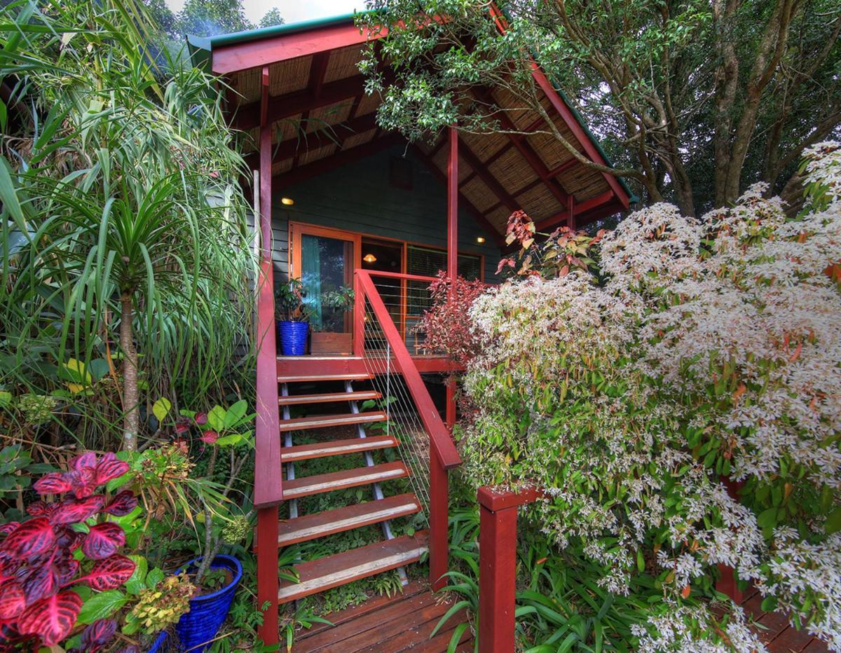 มาเลนี่ทรอปิคอลรีทรีท Bed & Breakfast เมลเลนี ภายนอก รูปภาพ